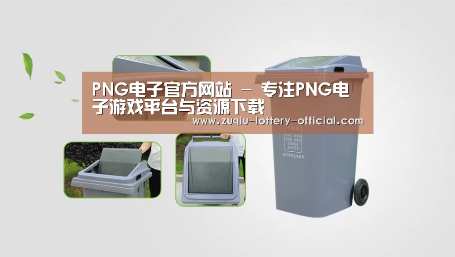 关于png电子游戏 