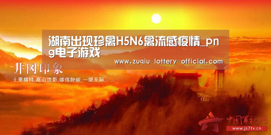 png电子游戏游戏平台