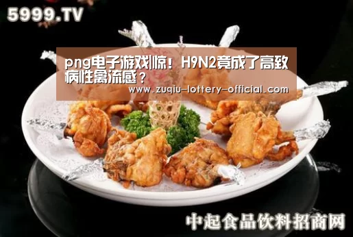 png电子游戏APP下载