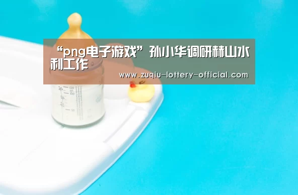 png电子游戏游戏平台