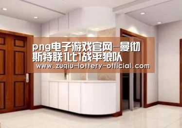 png电子游戏游戏平台