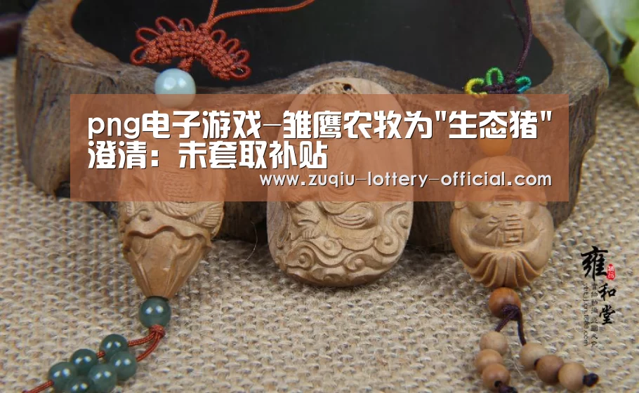 png电子游戏