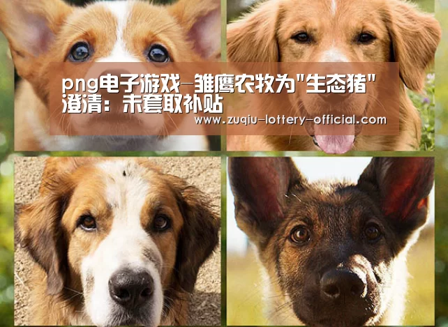 png电子游戏-雏鹰农牧为