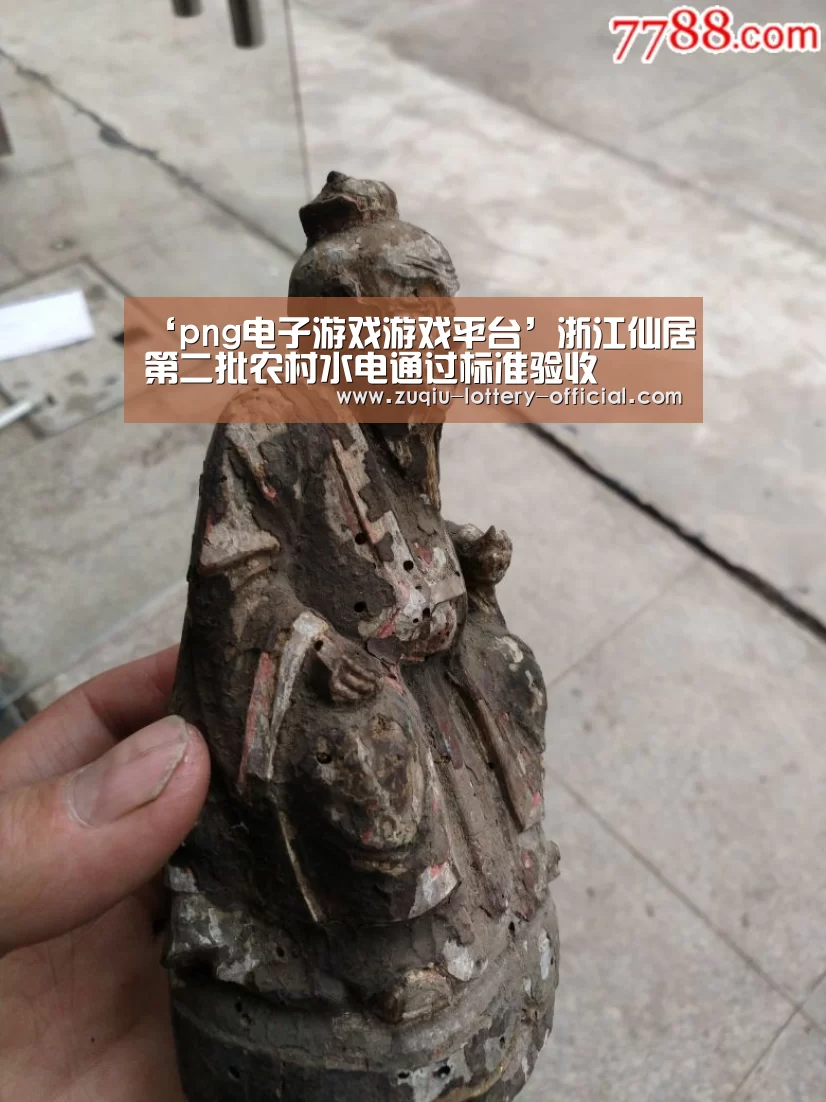 ‘png电子游戏游戏平台’浙江仙居第二批农村水电通过标准验收(图2) png电子游戏官网