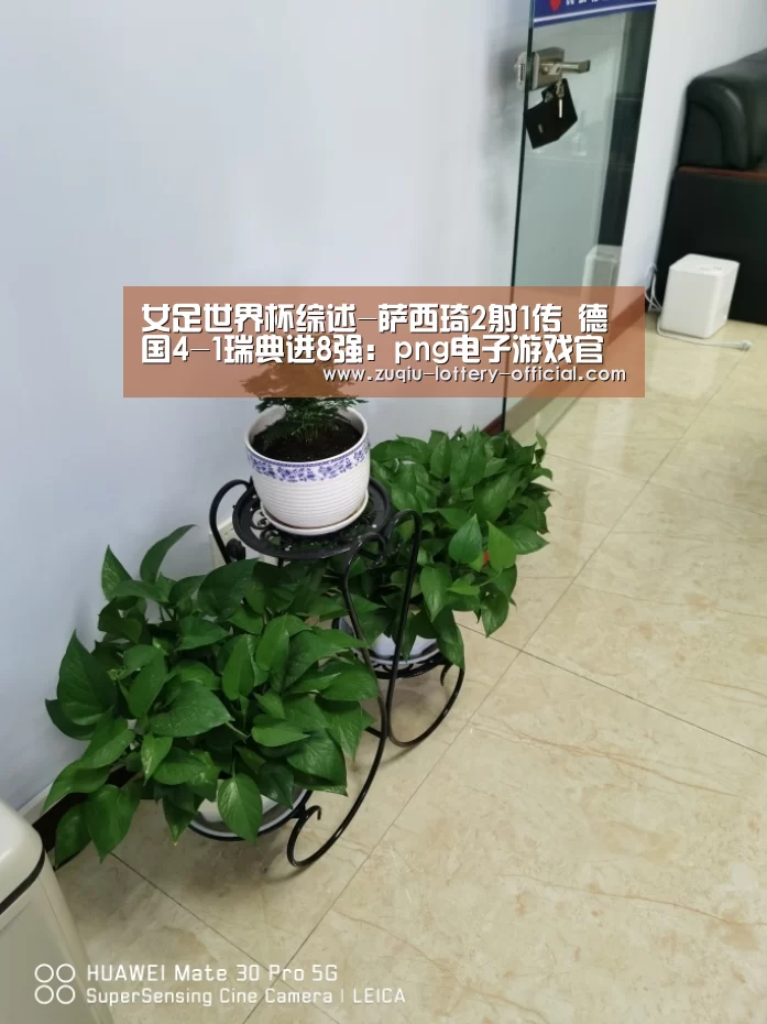 女足世界杯综述-萨西琦2射1传 德国4-1瑞典进8强:png电子游戏官网(图2) png电子游戏